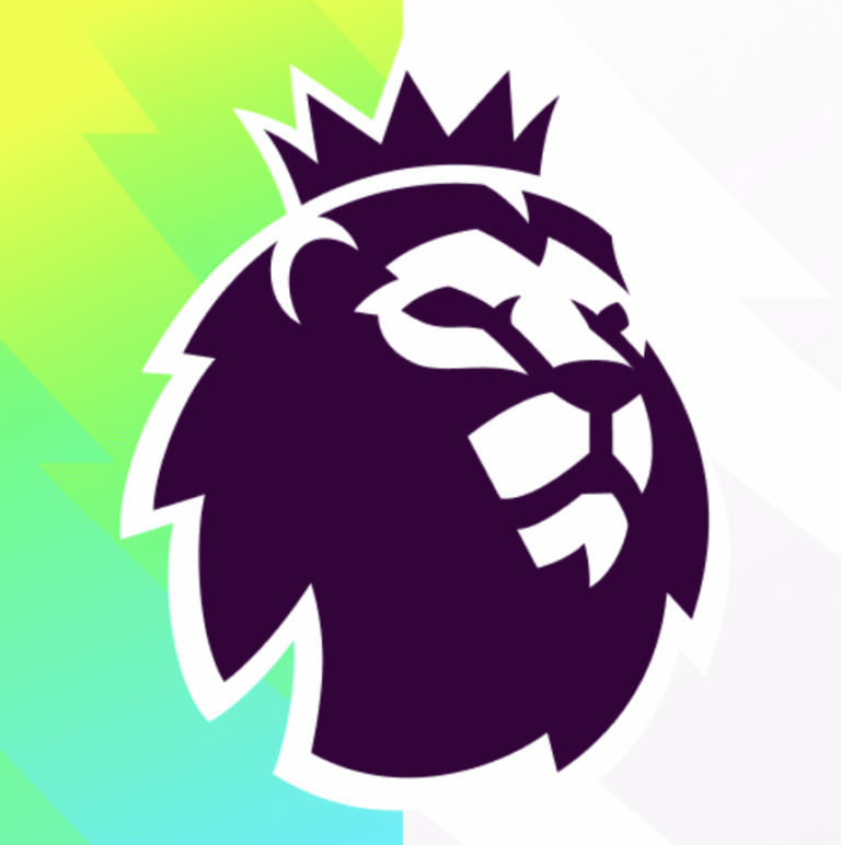 Premier League and European Domestic Leagues: